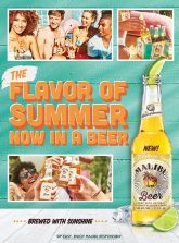 Malibu Beer Key Visual