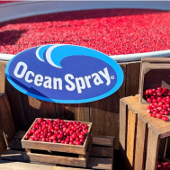 04_OceanSpray.png.webp