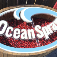 05_OceanSpray